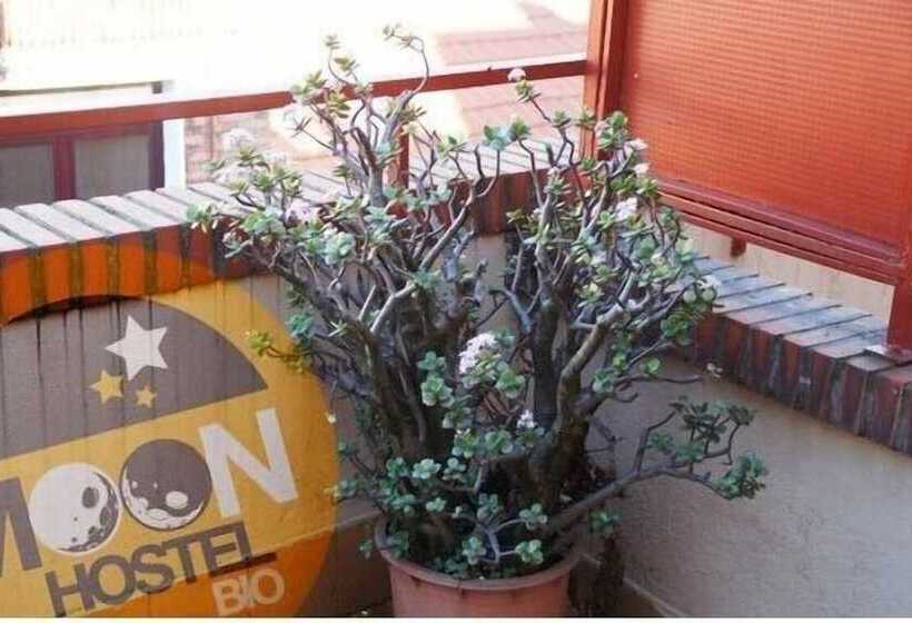 Moon Hostel Bio