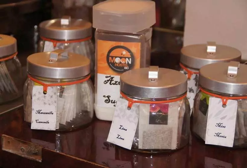 Moon Hostel Bio
