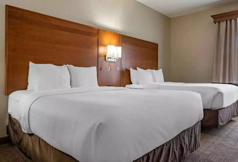 Comfort Suites Hotel And Conference Center