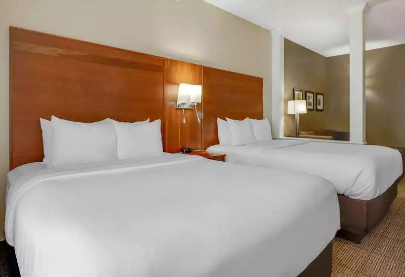 Comfort Suites Hotel And Conference Center