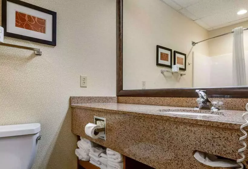 Comfort Suites Hotel And Conference Center