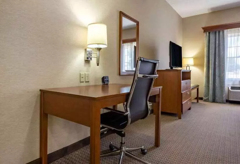 Comfort Suites Hotel And Conference Center