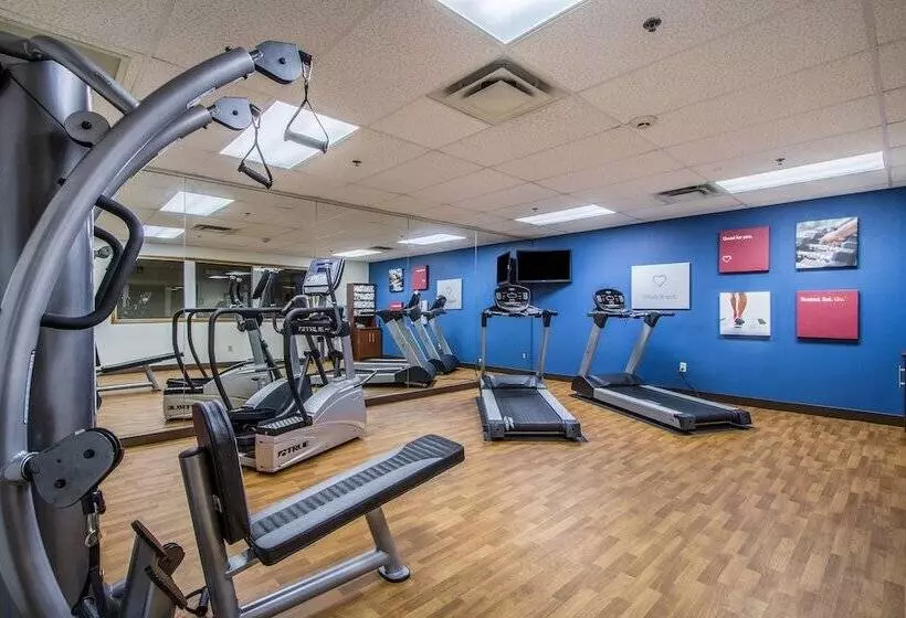 Comfort Suites Hotel And Conference Center