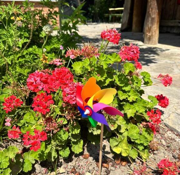 בית מלון כפרי Bahaus Resort