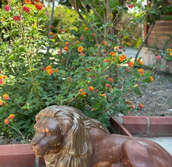 בית מלון כפרי Bahaus Resort