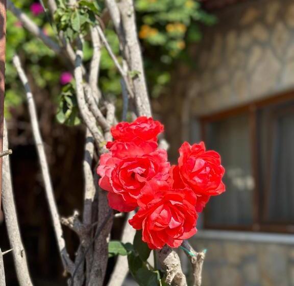 בית מלון כפרי Bahaus Resort