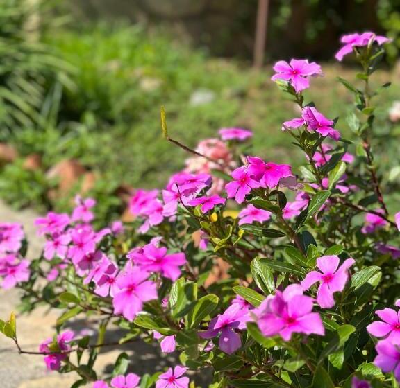 בית מלון כפרי Bahaus Resort