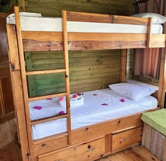 هتل Bahaus Resort