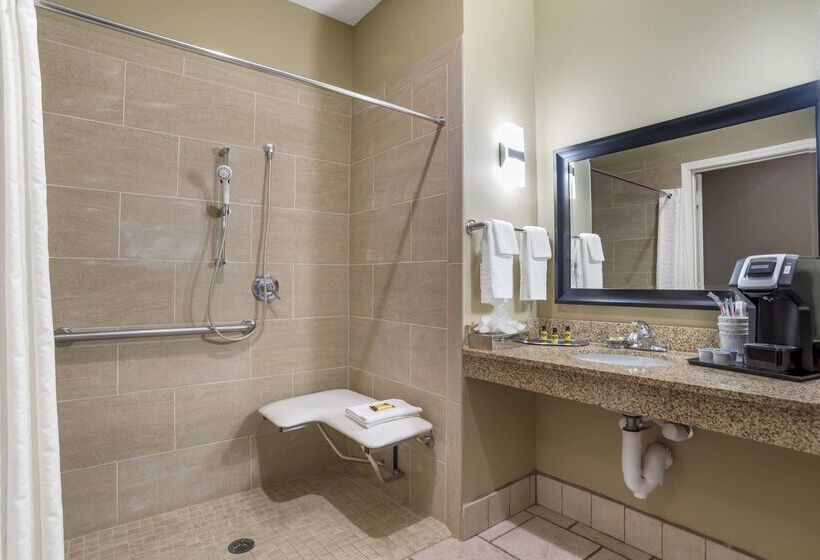 Отель Best Western Plus Chalmette