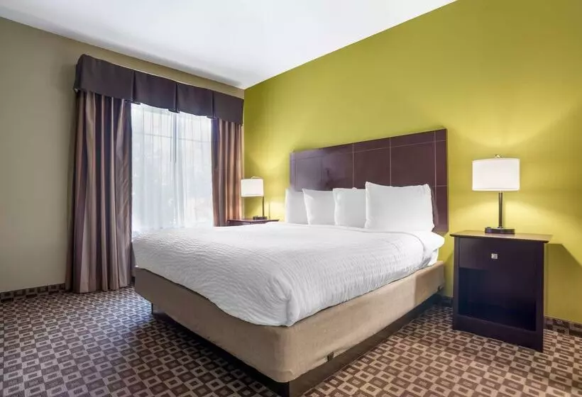فندق Best Western Plus Chalmette