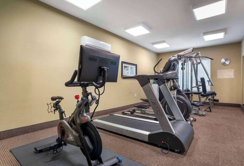 Отель Best Western Plus Chalmette