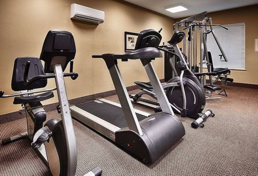 Отель Best Western Plus Chalmette