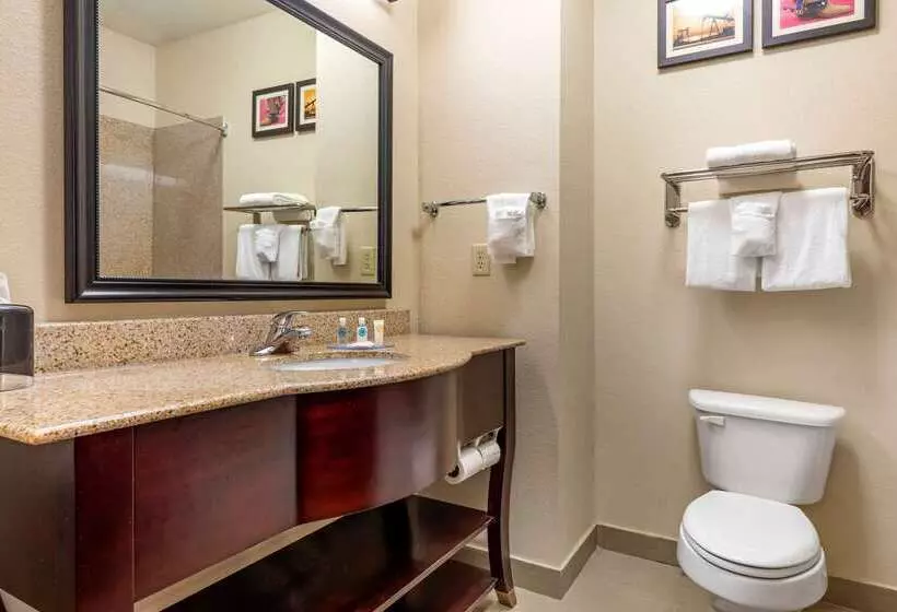 호텔 Comfort Inn Near Unt