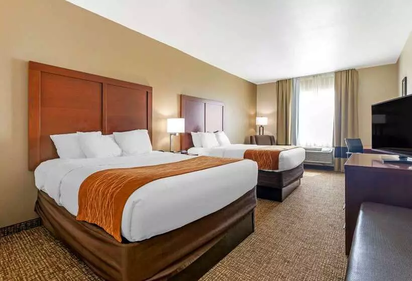 호텔 Comfort Inn Near Unt