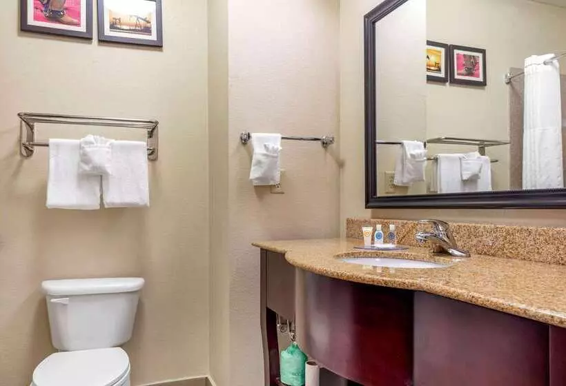 호텔 Comfort Inn Near Unt