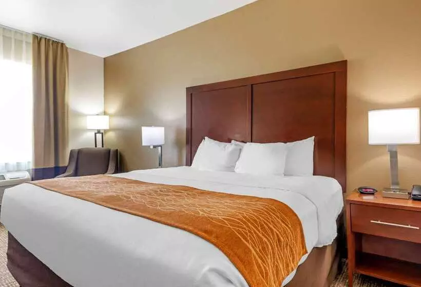 호텔 Comfort Inn Near Unt