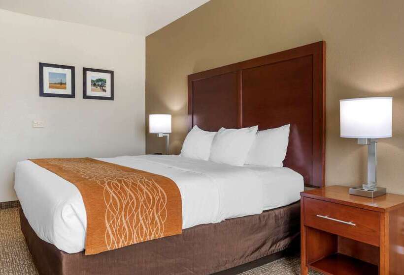 Отель Comfort Inn Near Unt