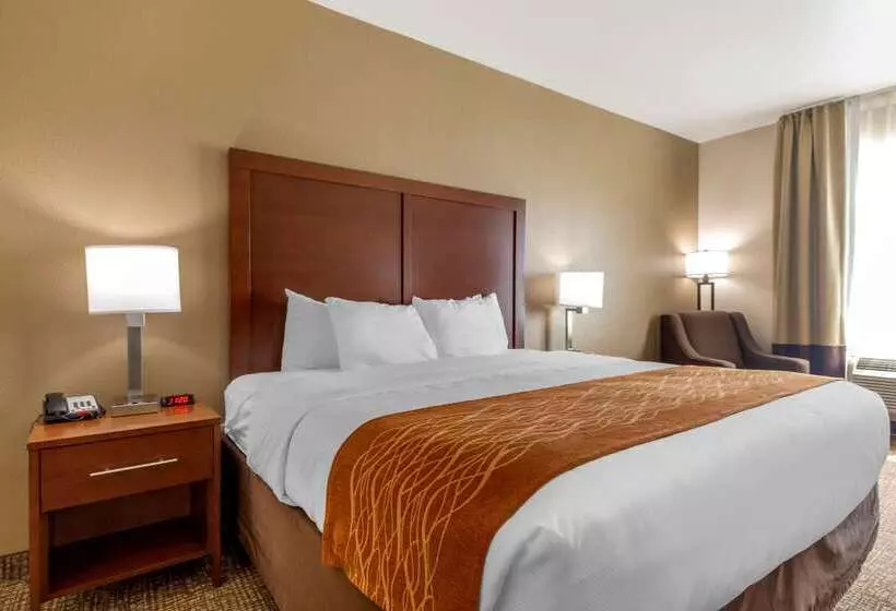 호텔 Comfort Inn Near Unt