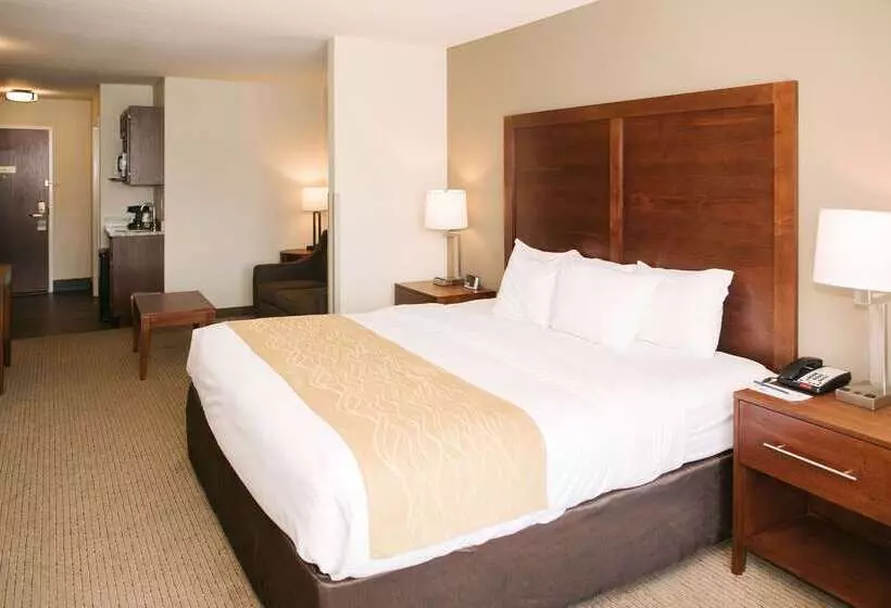 בית מלון כפרי Comfort Inn & Suites