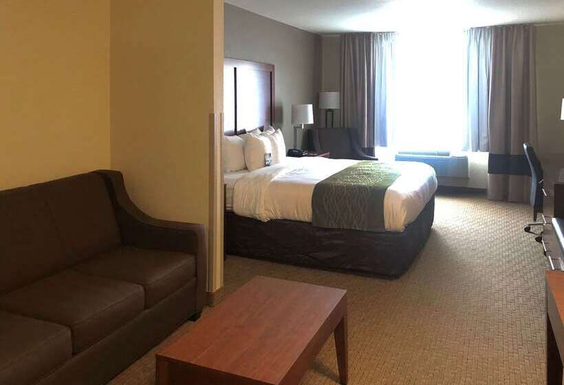 בית מלון כפרי Comfort Inn & Suites