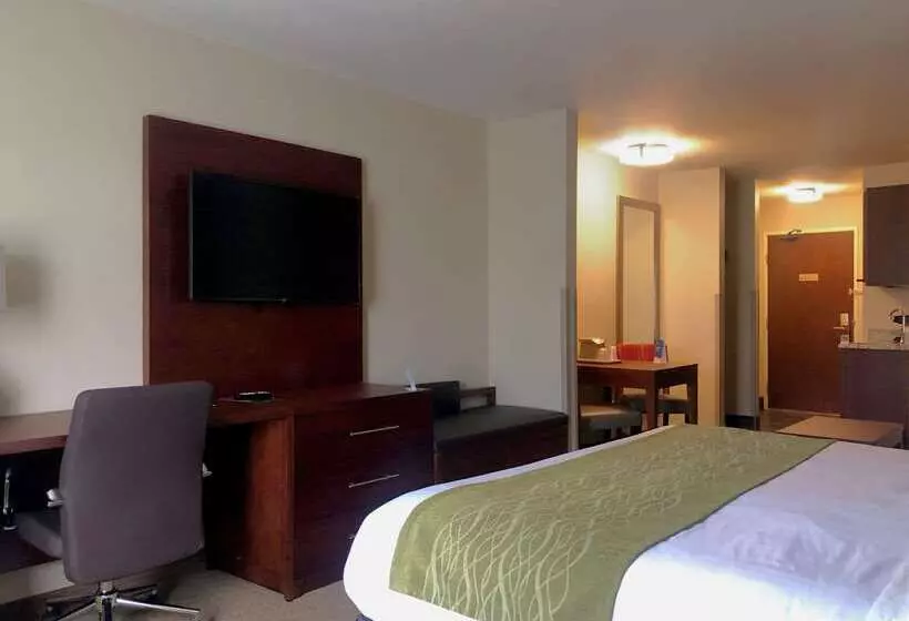 בית מלון כפרי Comfort Inn & Suites