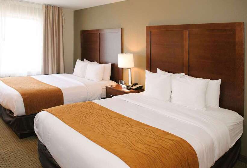 בית מלון כפרי Comfort Inn & Suites