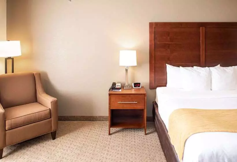 בית מלון כפרי Comfort Inn & Suites