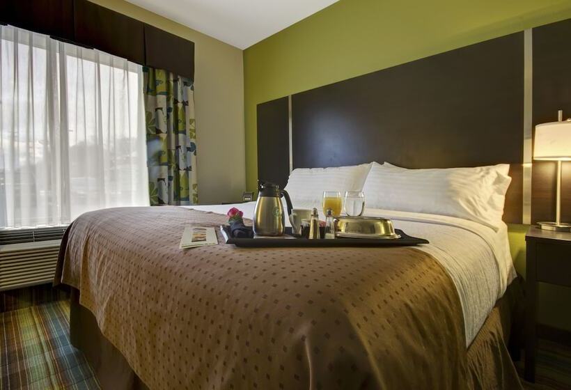 호텔 Holiday Inn Christiansburg Blacksburg, An Ihg