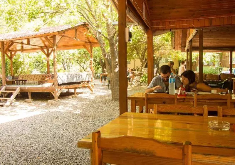 هتل SabanTreeHouses