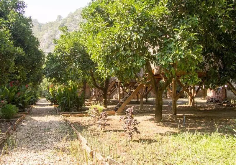 هتل SabanTreeHouses