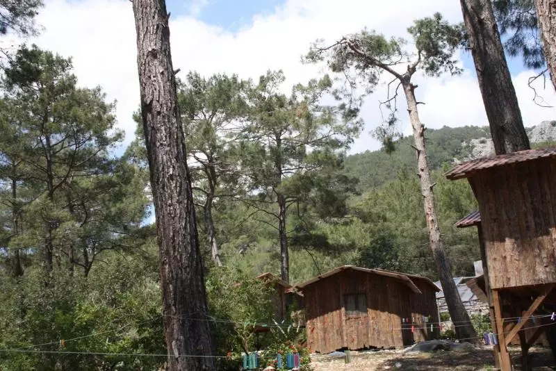 هتل SabanTreeHouses
