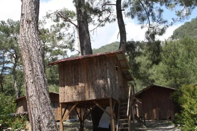 هتل SabanTreeHouses