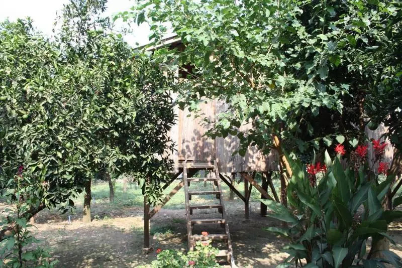 هتل SabanTreeHouses