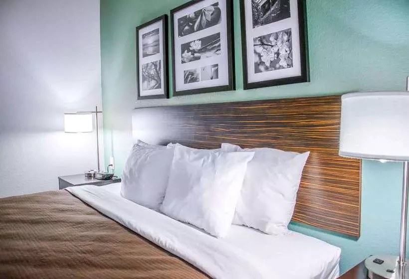 Отель Sleep Inn & Suites Center