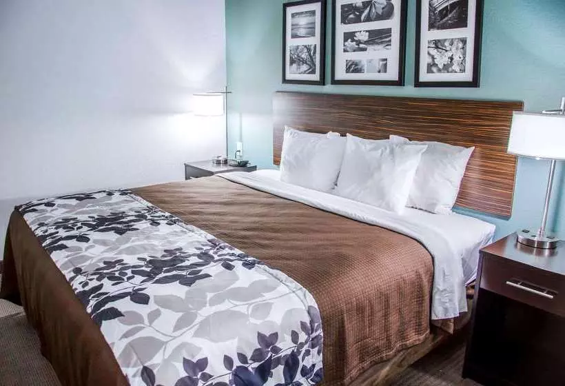 Отель Sleep Inn & Suites Center