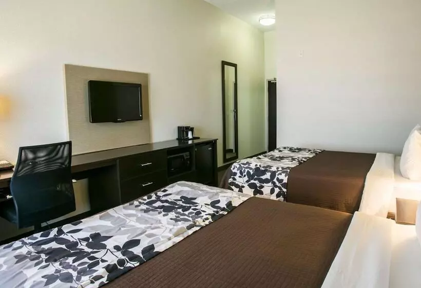 Otel Sleep Inn & Suites