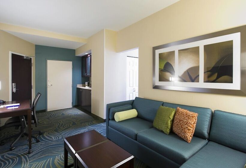 בית מלון כפרי Springhill Suites By Marriott Omaha East, Council Bluffs, Ia