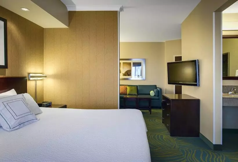 酒店 Springhill Suites By Marriott Omaha East, Council Bluffs, Ia