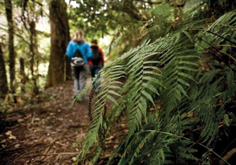 Fairmont Resort & Spa Blue Mountains, Mgallery By Sofitel