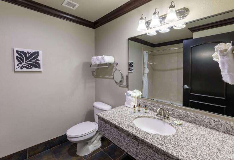 Hawthorn Suites By Wyndham Lubbock