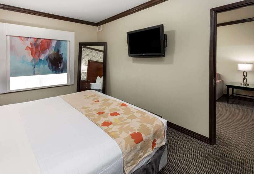 Hawthorn Suites By Wyndham Lubbock