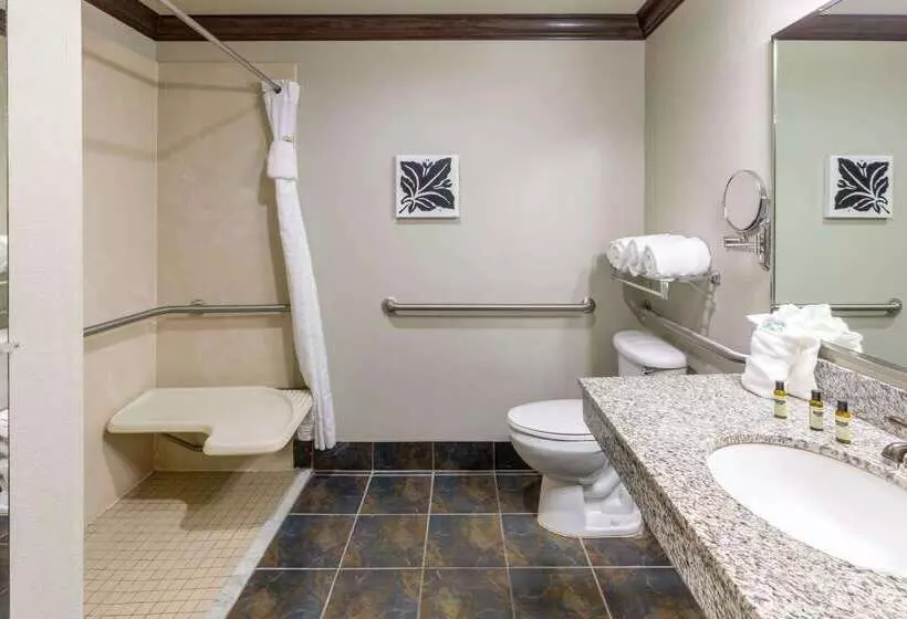 Hawthorn Suites By Wyndham Lubbock