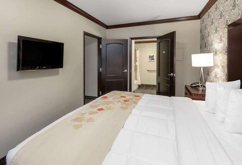 Hawthorn Suites By Wyndham Lubbock