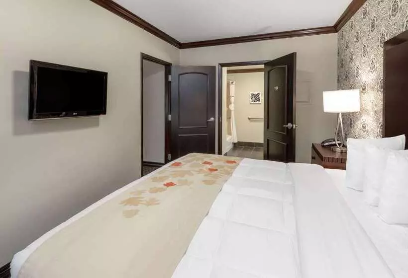 Hawthorn Suites By Wyndham Lubbock