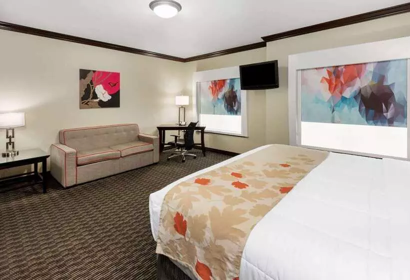 Hawthorn Suites By Wyndham Lubbock