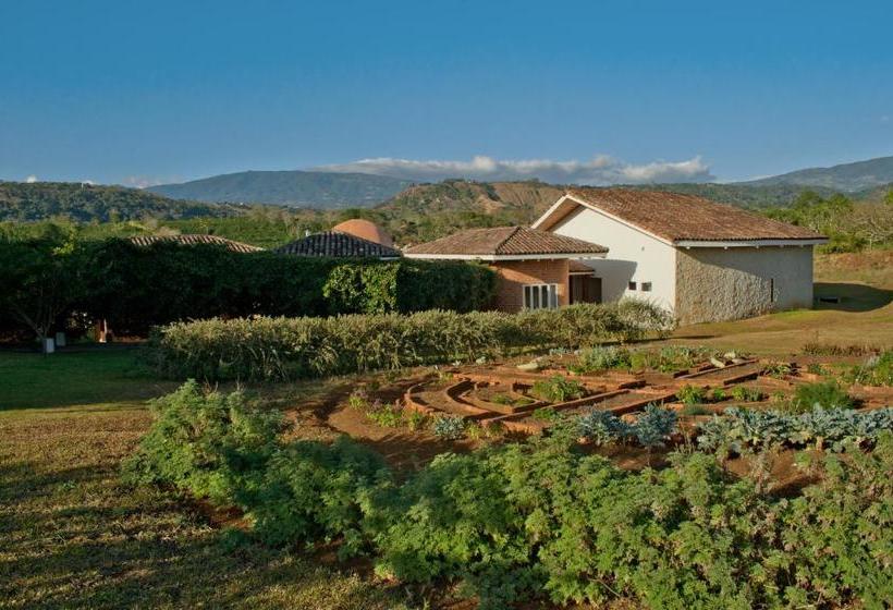 هتل Asclepios Wellness & Healing Retreat