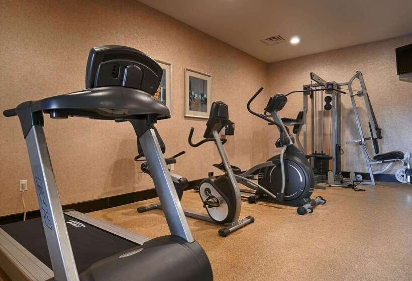 فندق Best Western Plus Lytle Inn And Suites