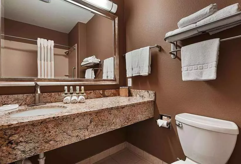 Hotelli Best Western Plus Lytle Inn And Suites