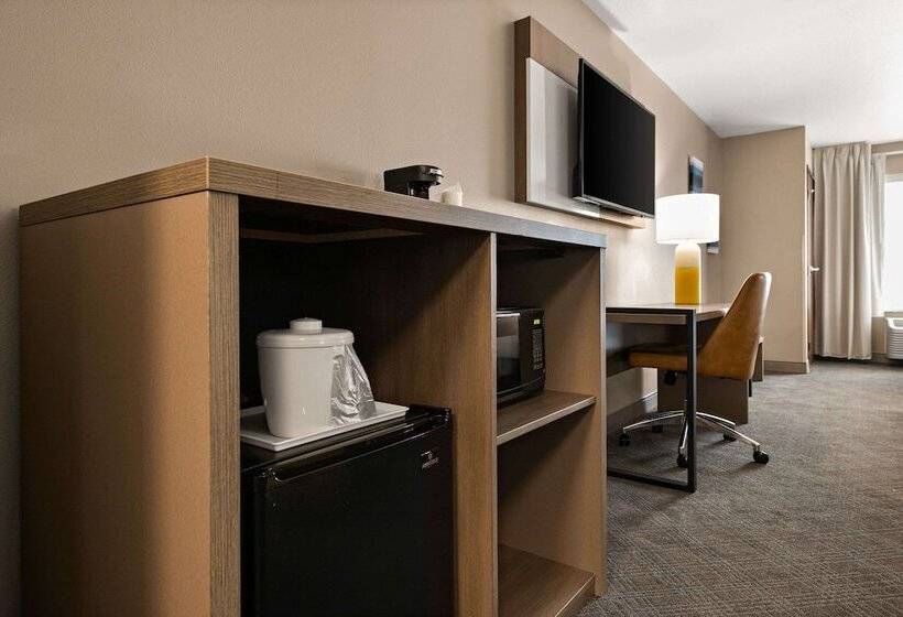 Отель Comfort Suites Hudson I94
