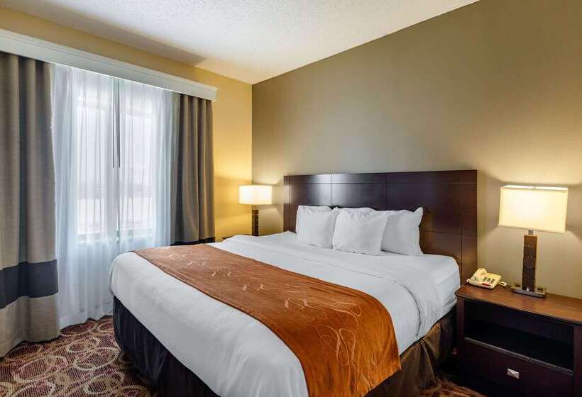 Hotel Comfort Suites Mckinneyallen